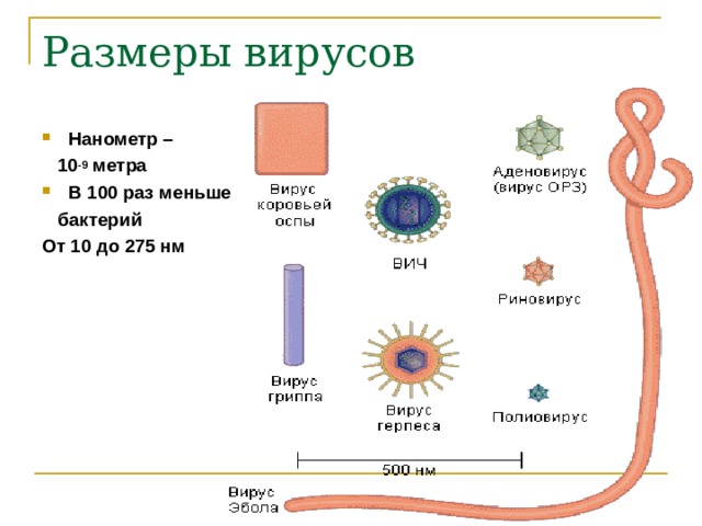 Нанометр –  10 -9 метра В 100 раз меньше  бактерий От 10 до 275 нм  