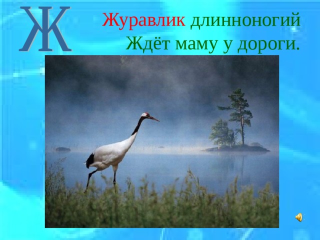 Журавлик длинноногий  Ждёт маму у дороги. 