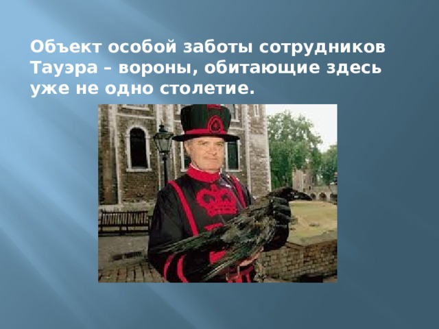 Объект особой заботы сотрудников Тауэра – вороны, обитающие здесь уже не одно столетие. 