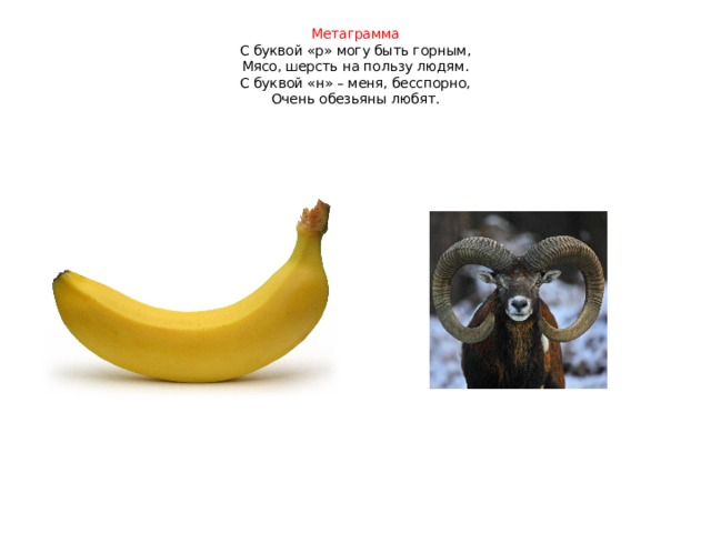 Метаграмма  С буквой «р» могу быть горным,  Мясо, шерсть на пользу людям.  С буквой «н» – меня, бесспорно,  Очень обезьяны любят. 