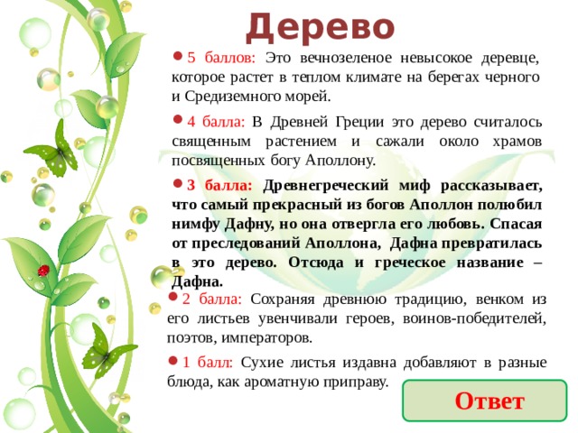 Дерево 5 баллов: Это вечнозеленое невысокое деревце, которое растет в теплом климате на берегах черного и Средиземного морей. 4 балла: В Древней Греции это дерево считалось священным растением и сажали около храмов посвященных богу Аполлону. 3 балла: Древнегреческий миф рассказывает, что самый прекрасный из богов Аполлон полюбил нимфу Дафну, но она отвергла его любовь. Спасая от преследований Аполлона, Дафна превратилась в это дерево. Отсюда и греческое название – Дафна. 2 балла: Сохраняя древнюю традицию, венком из его листьев увенчивали героев, воинов-победителей, поэтов, императоров. 1 балл: Сухие листья издавна добавляют в разные блюда, как ароматную приправу. Ответ 