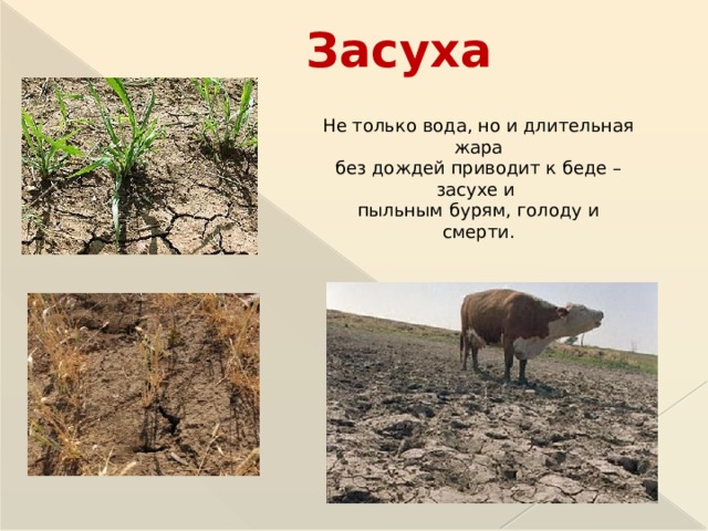 Засуха Не только вода, но и длительная жара без дождей приводит к беде – засухе и пыльным бурям, голоду и смерти.  
