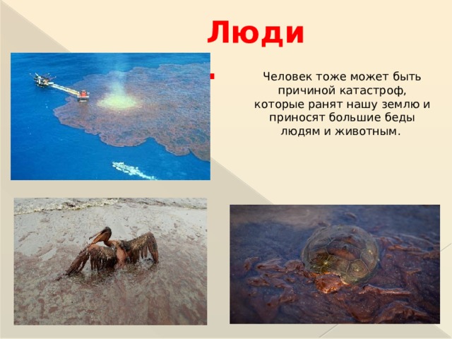 Люди. Человек тоже может быть причиной катастроф, которые ранят нашу землю и приносят большие беды людям и животным.  