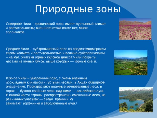 Природные зоны Северное Чили – тропический пояс, имеет пустынный климат и растительность; внешнего стока почти нет, много солончаков. Среднее Чили – субтропический пояс со средиземноморским типом климата и растительностью и влажно-субтропическим – на юге. Участки горных склонов центра Чили покрыты лесами из южных буков, выше которых — горные степи. Южное Чили – умеренный пояс, с очень влажным прохладным климатом и густыми лесами; в Андах обширное оледенение. Произрастают влажные вечнозеленые леса, в горах — буково-хвойные леса, над ними — альпийские луга. В южной части страны распространены смешанные леса, на равнинных участках — степи. Крайний юг занимают торфяники и заболоченные луга. [ 