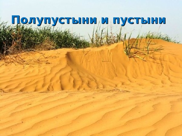 Полупустыни и пустыни 