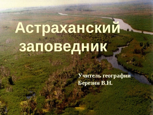   «Астраханский заповедник» Астраханский  заповедник Учитель географии Березин В.Н. 