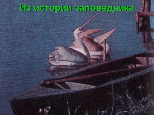 Из истории заповедника 