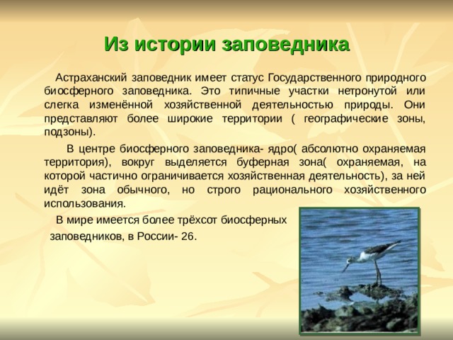 Из истории заповедника  Астраханский заповедник имеет статус Государственного природного биосферного заповедника. Это типичные участки нетронутой или слегка изменённой хозяйственной деятельностью природы. Они представляют более широкие территории ( географические зоны, подзоны).  В центре биосферного заповедника- ядро( абсолютно охраняемая территория), вокруг выделяется буферная зона( охраняемая, на которой частично ограничивается хозяйственная деятельность), за ней идёт зона обычного, но строго рационального хозяйственного использования.  В мире имеется более трёхсот биосферных  заповедников, в России- 26. 