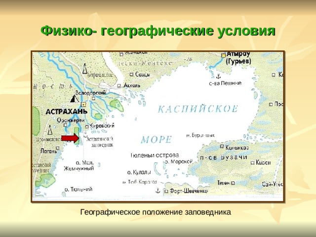 Физико- географические условия Географическое положение заповедника 