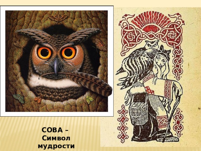  СОВА – Символ мудрости 