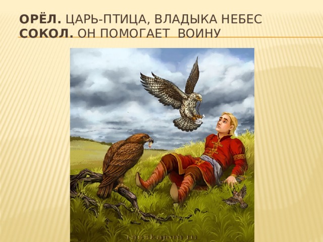 Орёл. царь-птица, владыка небес  Сокол. он помогает воину 