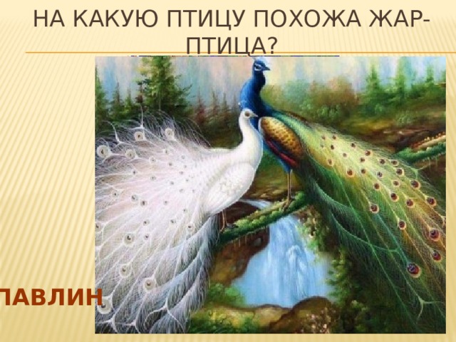 На какую птицу похожа жар-птица? павлин 