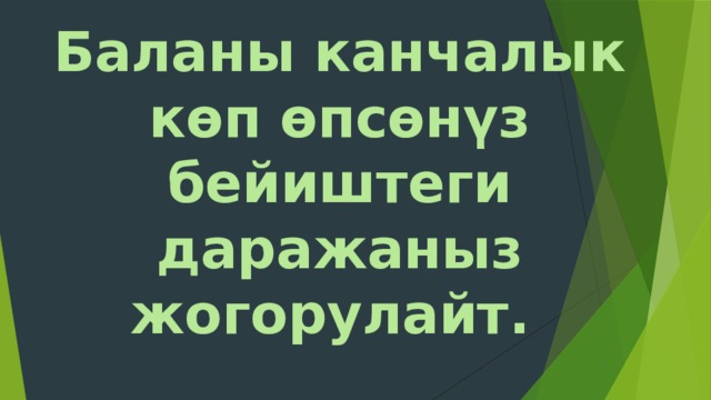 Баланы канчалык көп өпсөнүз бейиштеги даражаныз жогорулайт. 