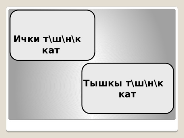   Ички т\ш\н\к   кат    Тышкы т\ш\н\к  кат 