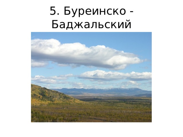 5. Буреинско - Баджальский 