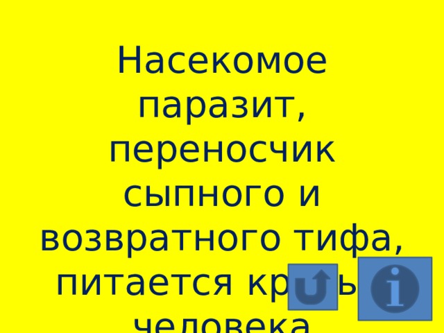 Насекомое паразит, переносчик сыпного и возвратного тифа, питается кровью человека 