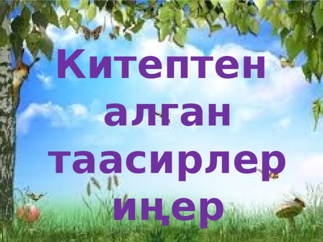 Китептен алган таасирлериңер 