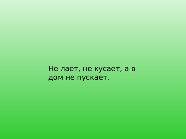 Не лает, не кусает, а в дом не пускает. 