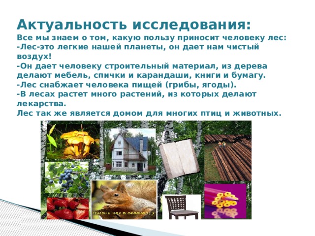 Актуальность исследования: Все мы знаем о том, какую пользу приносит человеку лес: -Лес-это легкие нашей планеты, он дает нам чистый воздух! -Он дает человеку строительный материал, из дерева делают мебель, спички и карандаши, книги и бумагу. -Лес снабжает человека пищей (грибы, ягоды). -В лесах растет много растений, из которых делают лекарства. Лес так же является домом для многих птиц и животных. 