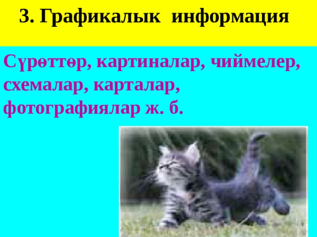 3. Графикалык информация    Сүрөттөр, картиналар, чиймелер, схемалар, карталар, фотографиялар ж. б.  
