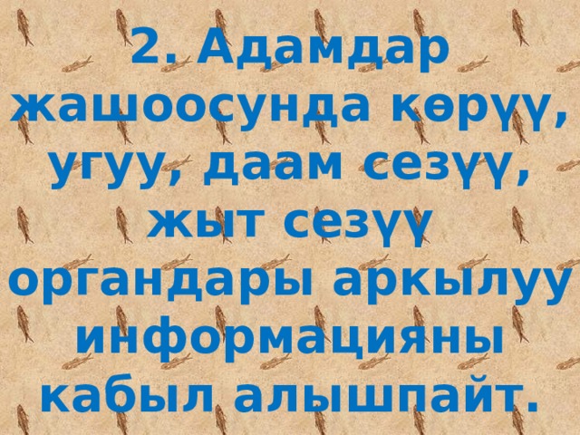 2. Адамдар жашоосунда көрүү, угуу, даам сезүү, жыт сезүү органдары аркылуу информацияны кабыл алышпайт. 