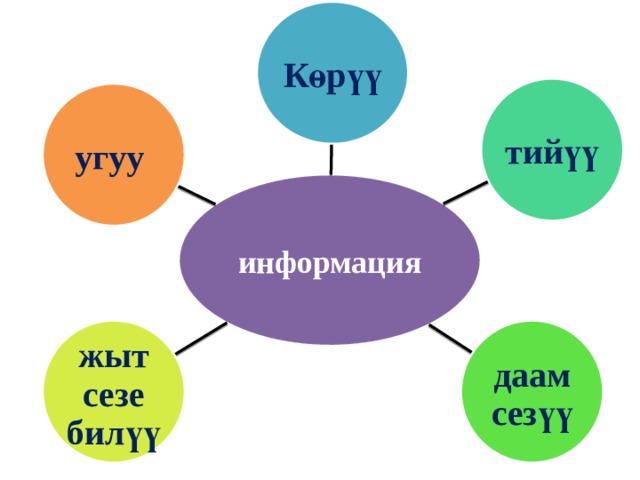 Көрүү  тийүү угуу  информация даам сезүү жыт сезе билүү 