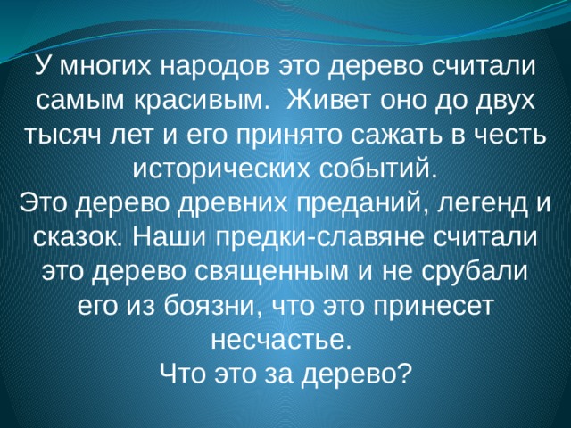 У многих народов это дерево считали самым красивым. Живет оно до двух тысяч лет и его принято сажать в честь исторических событий. Это дерево древних преданий, легенд и сказок. Наши предки-славяне считали это дерево священным и не срубали его из боязни, что это принесет несчастье. Что это за дерево? 