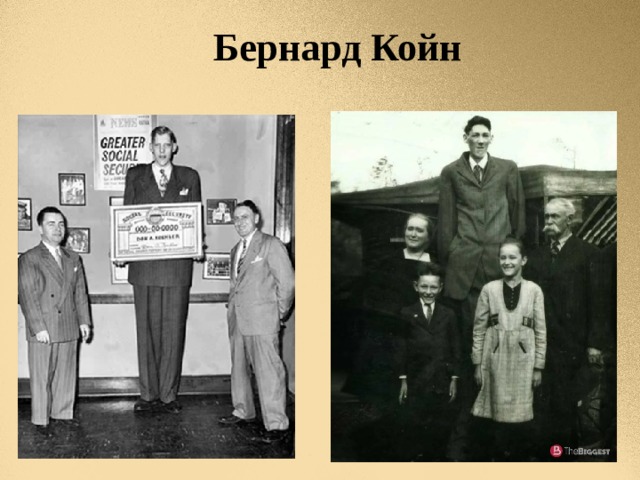 Бернард Койн 