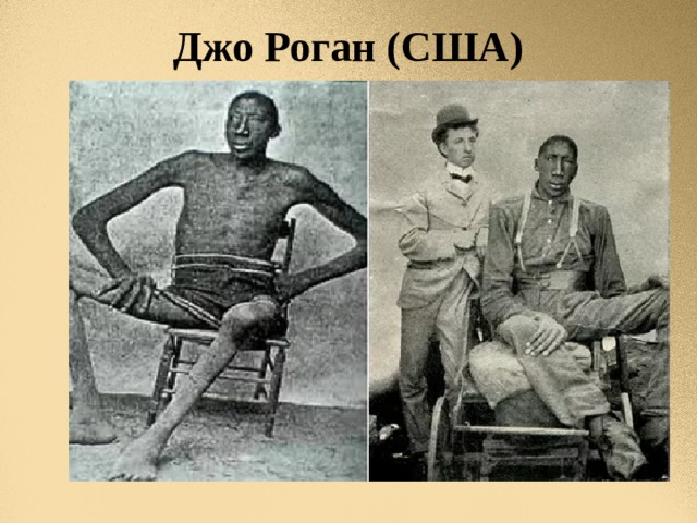 Джо Роган (США) 