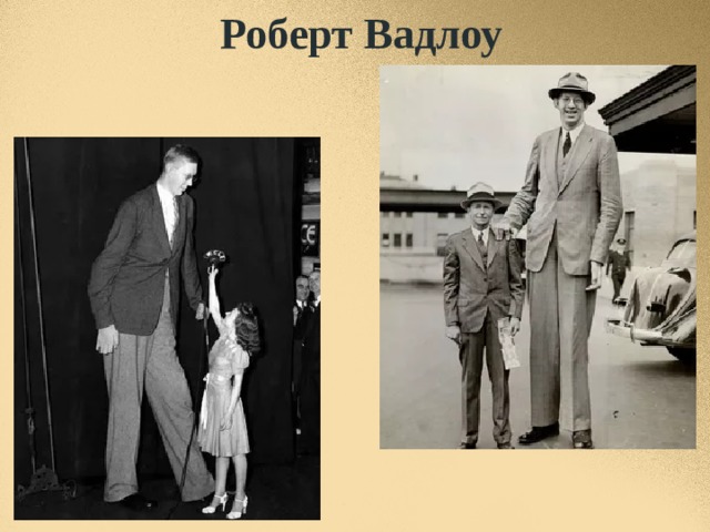 Роберт Вадлоу 
