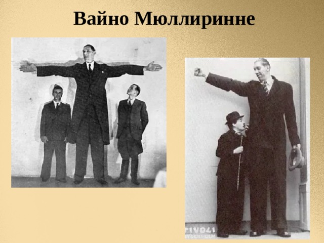 Вайно Мюллиринне 