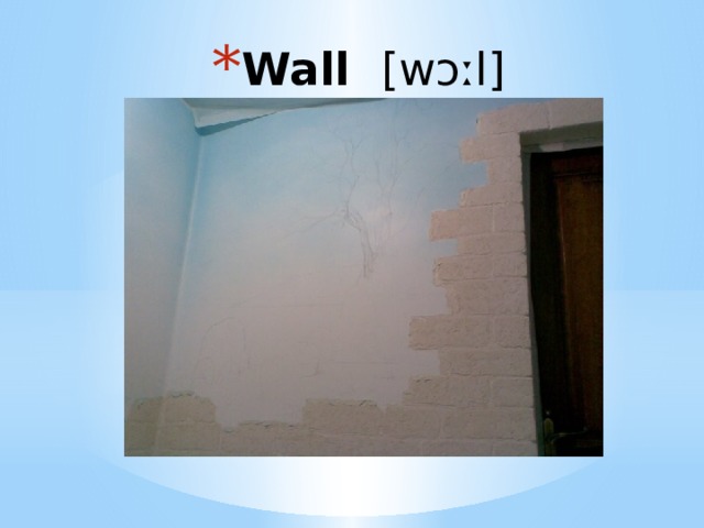 Wall [wɔːl] 