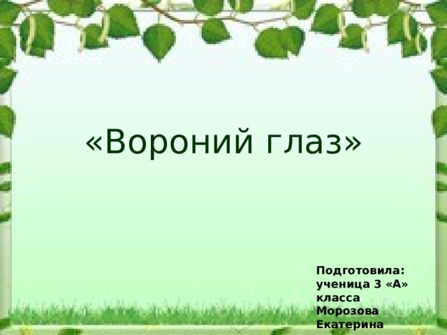 «Вороний глаз» Подготовила: ученица 3 «А» класса Морозова Екатерина 