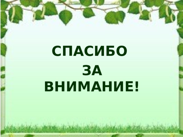 СПАСИБО ЗА ВНИМАНИЕ! 