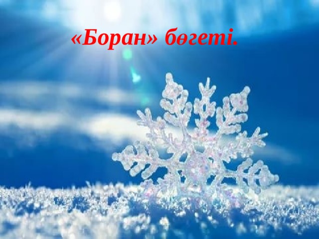 «Боран» бөгеті. 