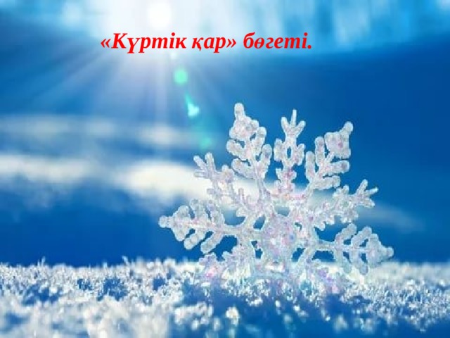  «Күртік қар» бөгеті. 