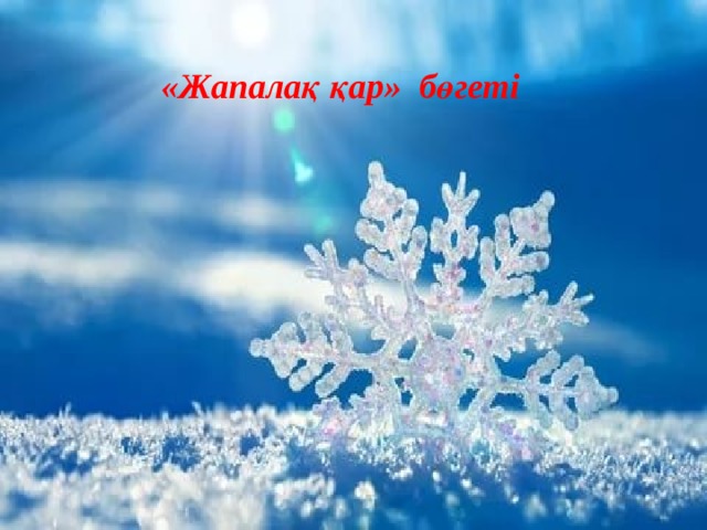 «Жапалақ қар» бөгеті 