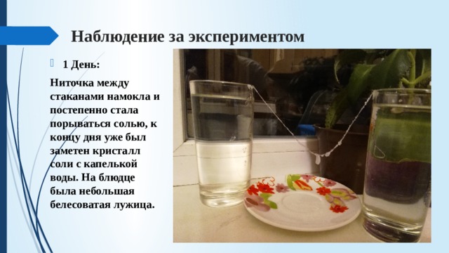 Наблюдение за экспериментом 1 День: Ниточка между стаканами намокла и постепенно стала порываться солью, к концу дня уже был заметен кристалл соли с капелькой воды. На блюдце была небольшая белесоватая лужица. 