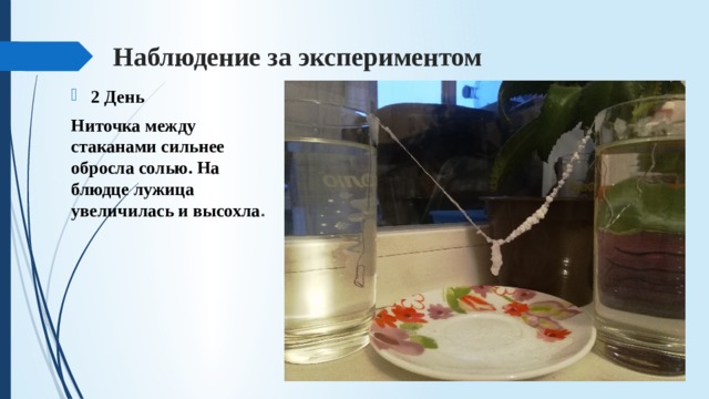 Наблюдение за экспериментом 2 День Ниточка между стаканами сильнее обросла солью. На блюдце лужица увеличилась и высохла . 