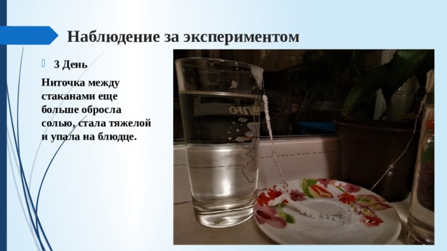 Наблюдение за экспериментом 3 День Ниточка между стаканами еще больше обросла солью, стала тяжелой и упала на блюдце. 