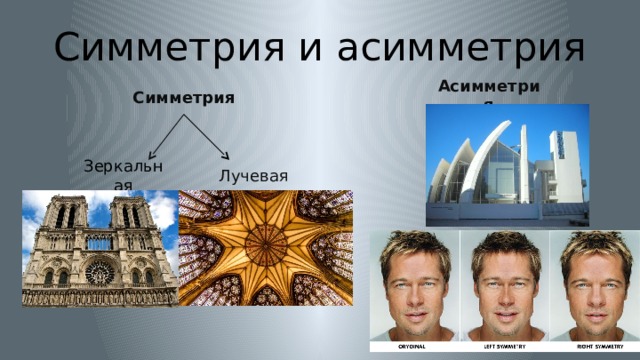 Симметрия и асимметрия Асимметрия Симметрия Зеркальная Лучевая 