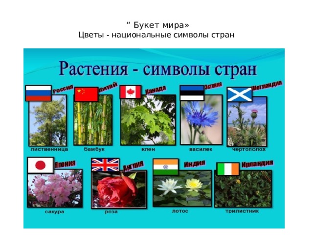  “ Букет мира»  Цветы - национальные символы стран   