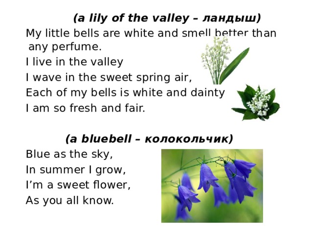  (a lily of the valley – ландыш)  My little bells are white and smell better than any perfume.  I live in the valley  I wave in the sweet spring air,  Each of my bells is white and dainty,  I am so fresh and fair.    (a bluebell – колокольчик)  Blue as the sky,  In summer I grow,  I’m a sweet flower,  As you all know. 