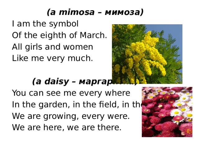  (a mimosa – мимоза) I am the symbol Of the eighth of March. All girls and women Like me very much.    (a daisy – маргаритка) You can see me every where In the garden, in the field, in the forest. We are growing, every were. We are here, we are there. 