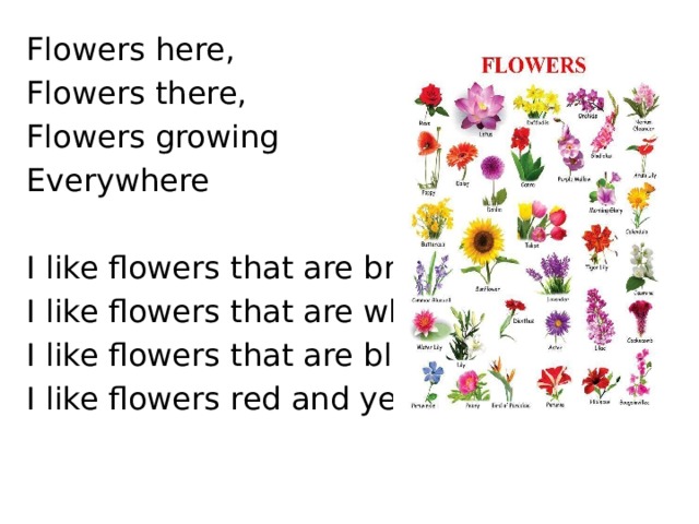 Flowers here, Flowers there, Flowers growing Everywhere I like flowers that are bright, I like flowers that are white, I like flowers that are blue, I like flowers red and yellows 