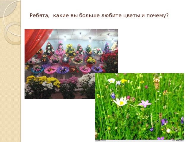 Ребята, какие вы больше любите цветы и почему? 