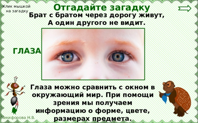 Отгадайте загадку Клик мышкой на загадку Брат с братом через дорогу живут, А один другого не видит.  ГЛАЗА Глаза можно сравнить с окном в окружающий мир. При помощи зрения мы получаем информацию о форме, цвете, размерах предмета. 