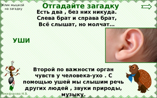 Отгадайте загадку Клик мышкой на загадку Есть два , без них никуда. Слева брат и справа брат, Всё слышат, но молчат… УШИ Второй по важности орган чувств у человека-ухо . С помощью ушей мы слышим речь других людей , звуки природы, музыку. 