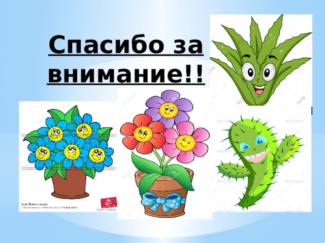 Спасибо за внимание!!!! 