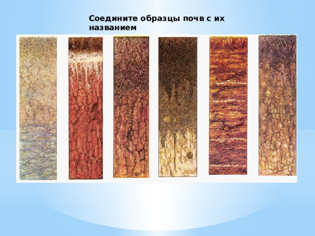 Соедините образцы почв с их названием 